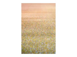 Alfombra Caro Multicolor 200 x 290 cm