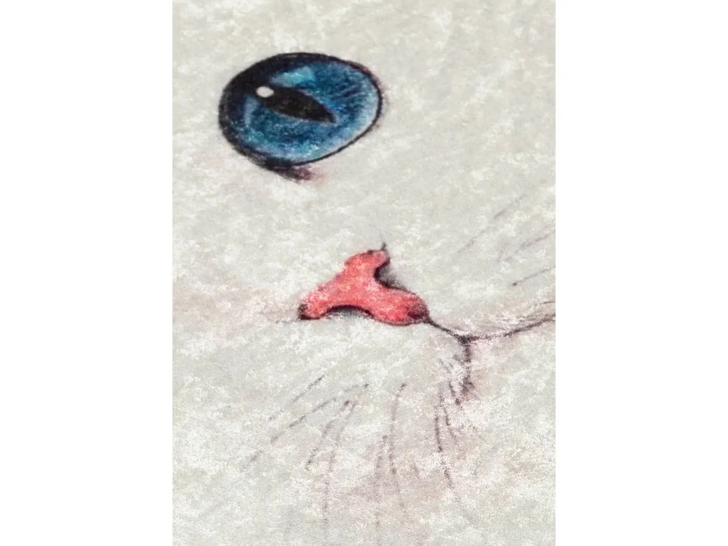 Outlet Alfombra de baño Blue Eyes (40 x 60) Multicolor