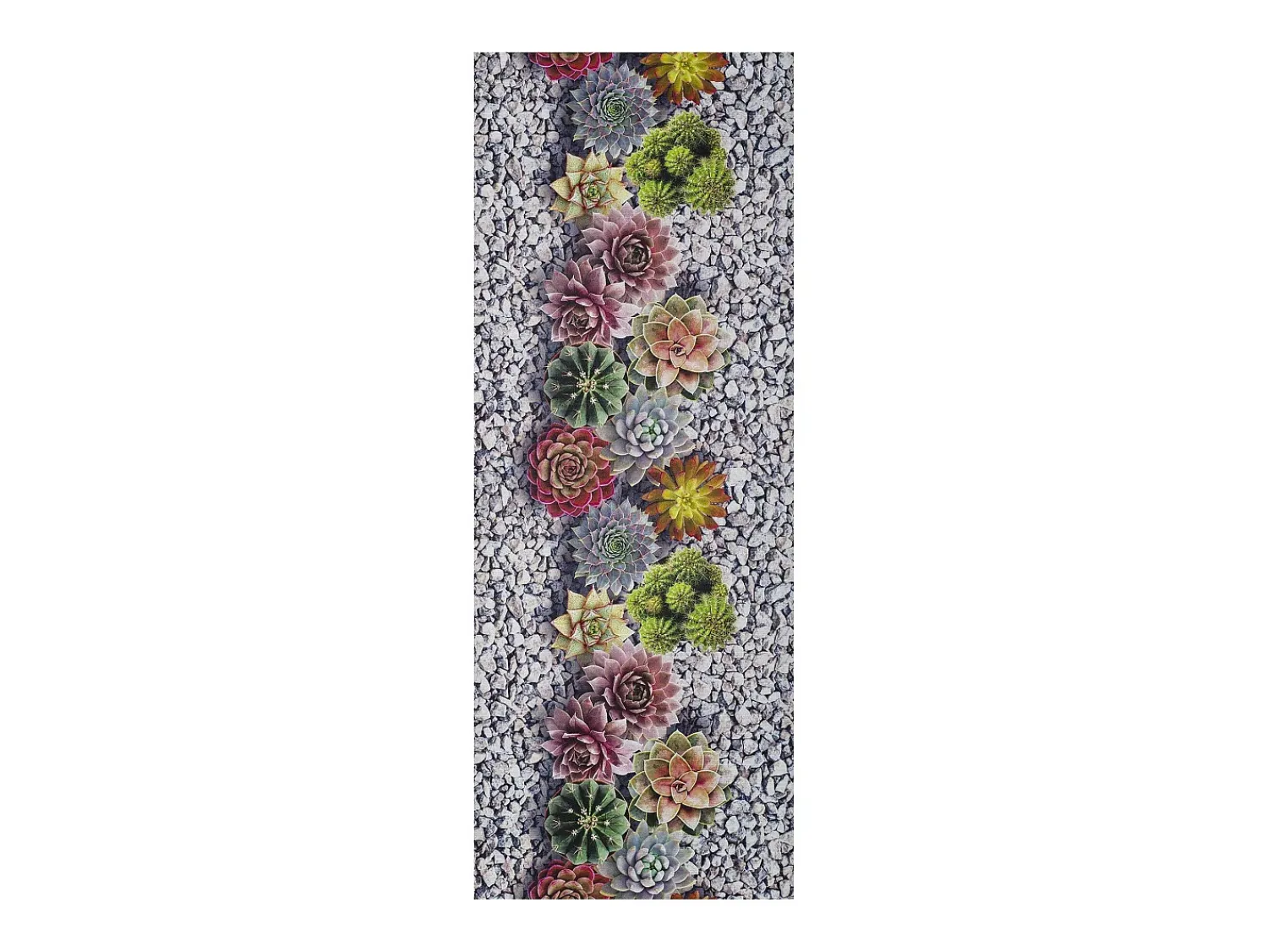 Clearance Alfombra de cocina - Diseños de cactus - gris - 52 x 100 cm - SPRINTY Multicolor