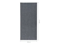 Alfombra de pasillo atrapa suciedad 100x250 cm gris