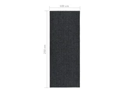 Online Clicnbuy Alfombra de pasillo atrapa suciedad 100x250 cm Gris antracita