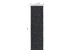 Clicnbuy Alfombra De Cocina^Alfombra de pasillo atrapa suciedad 100x350 cm Gris antracita