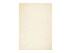 Alfombra De Cocina^Alfombra HUARTE de pelo corto suave y lavable color crema 160x230 cm Blanco
