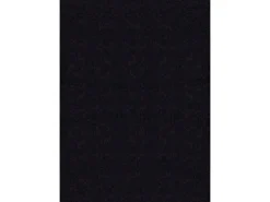 the carpet Alfombra De Salón^Alfombra pelo corto lavable antideslizante - - 80 x 150 cm - RELAX Negro