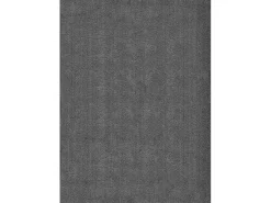 the carpet Alfombra De Salón^Alfombra pelo corto lavable antideslizante - Antracita - 160 x 220 cm - RELAX Gris antracita