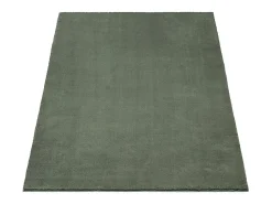 the carpet Alfombra De Salón^Alfombra pelo corto lavable antideslizante - Bosque - 240 x 340 cm - RELAX Verde