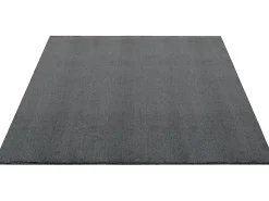 the carpet Alfombra De Salón^Alfombra pelo corto lavable antideslizante - Antracita - 80 x 300 cm - RELAX Gris antracita