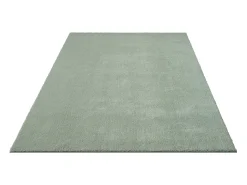 the carpet Alfombra De Salón^Alfombra pelo corto lavable antideslizante - Verde - 160 x 220 cm - RELAX Verde claro
