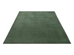 the carpet Alfombra Rio ala estar antideslizante arco, Bosque, 80 x 150 cm Verde esmeralda