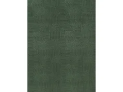 the carpet Alfombra Rio ala estar antideslizante arco, Bosque, 80 x 150 cm Verde esmeralda