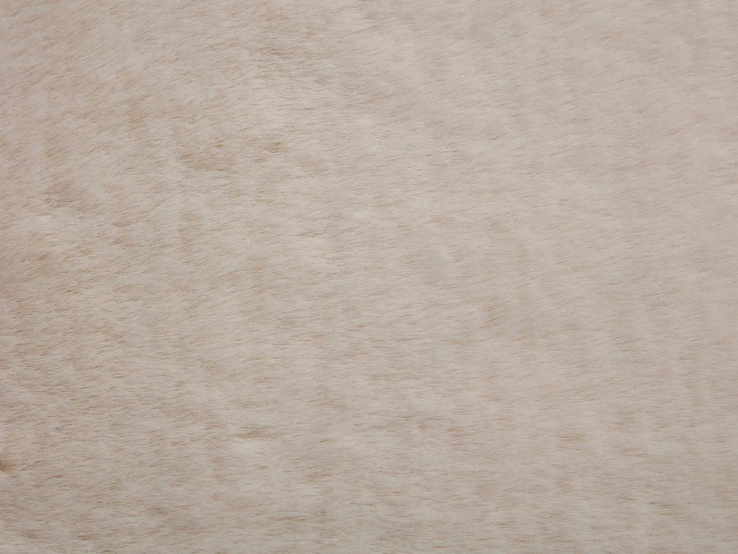Hot OZAIA Alfombra shaggy de pelo largo efecto pelo, 200 x 290 cm, , BUNNY Beige