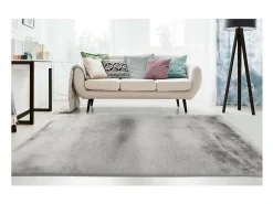 Alfombra 170x120cm, diseño E009Y color plata - Confort y elegancia para su interior