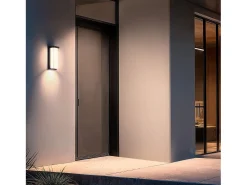 Aplique de Pared Exterior LED 22W Aluminio Tyron 4000K Negro Blanco Neutro