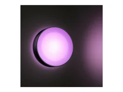 Aplique de Pared Exterior LED White Color 15W Hue Daylo Negro