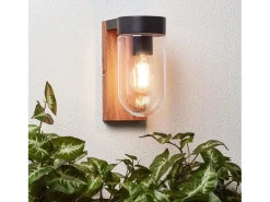 BRAYTRON Iluminación Exterior^Aplique de pared exterior, madera oscura, metal negro y cristal, casquillo E27, 1 x 40 W Transparente
