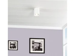 Aplique de Techo Aluminio Cuarzo Blanco Blanco