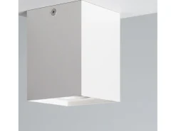 Aplique de Techo Aluminio Jaspe Blanco Blanco