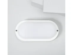 Aplique LED 25W Oval IP65 White 6500K Blanco Frío