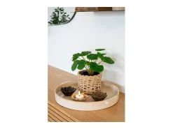 Clearance ebuy24 Bandeja de cerámica blanca Ø 37 cm Blanco