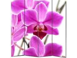 Best MCW Biombo fotográfico Bagheria, 180 x 160 cm, orquídea Multicolor