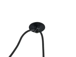 Broni Lámpara Colgante de Techo Dome Negra, 1 Luz, E27