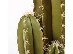 Cactus artificial organo 64 cm nortene 64 CM