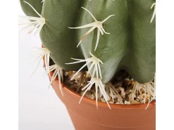 Clearance Cactus artificial stetsonia coryne 64 cm 64 Verde