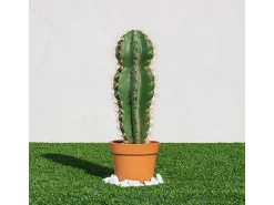 Clearance Cactus artificial stetsonia coryne 64 cm 64 Verde