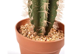 Clearance Cactus artificial stetsonia coryne 64 cm 64 Verde