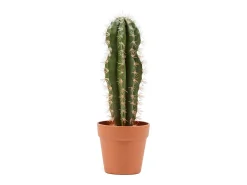 Clearance Cactus artificial stetsonia coryne 64 cm 64 Verde