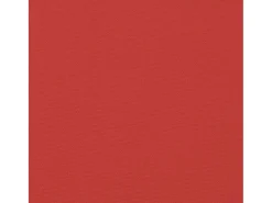 Clicnbuy Cojines para palets 2 unidades tela Rojo