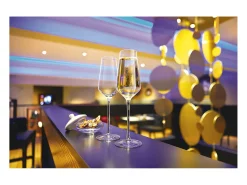 Best Chef & Sommelier Copas de Pie Intense 45cl Reveal'Up - Lote de 6