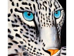 MCW Cuadro^Cuadro al óleo Leopardo blanco pintado a mano Multicolor