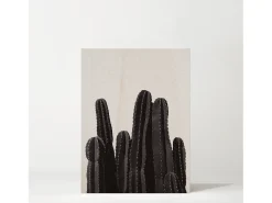 DECOWOOD Cuadro^Cuadro de madera Cactus Multicolor