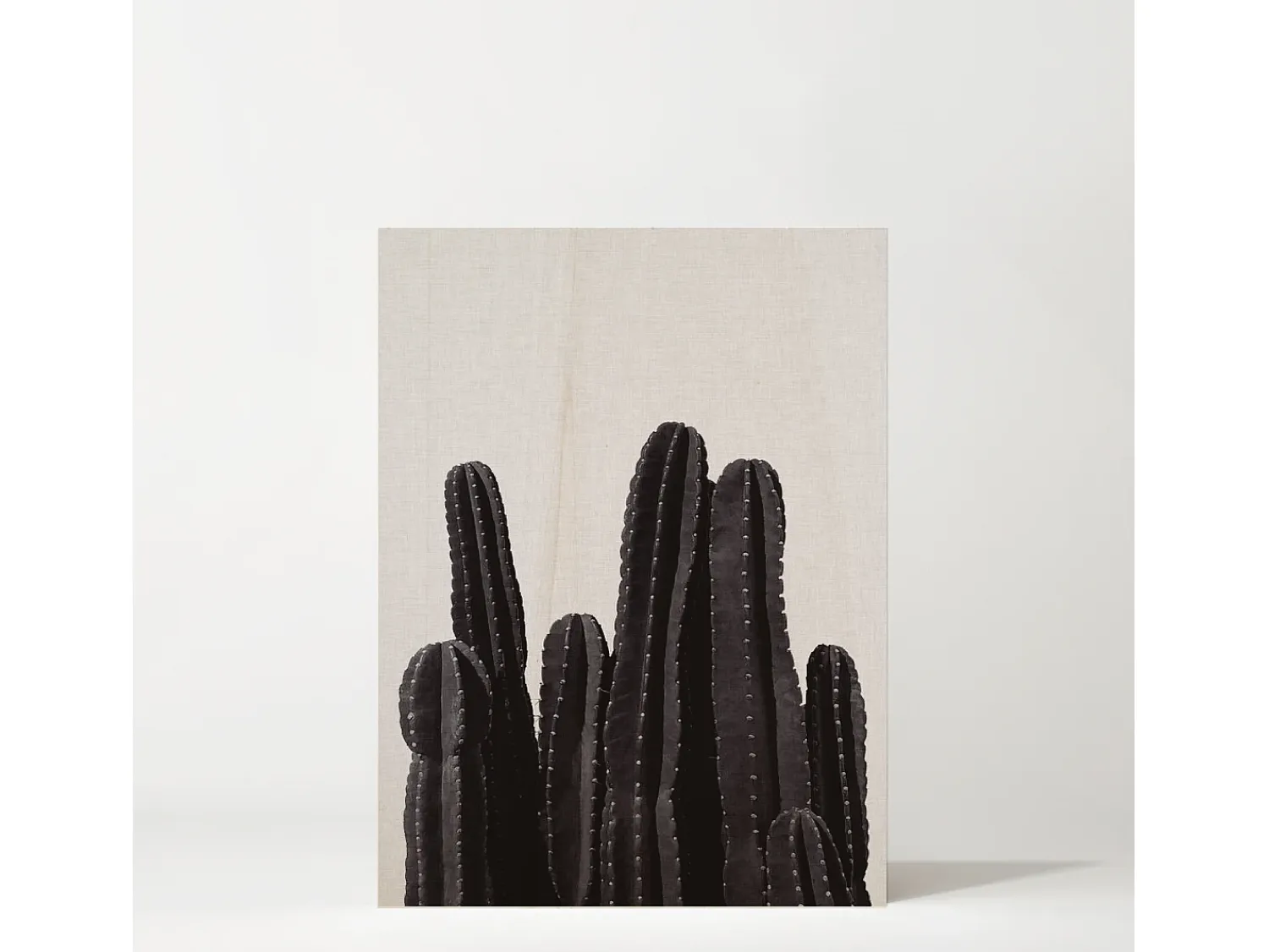 DECOWOOD Cuadro^Cuadro de madera Cactus Multicolor