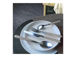 Amefa Cubierto^Cubertería Saxo 16 piezas de acero inoxidable para 4 personas Gris