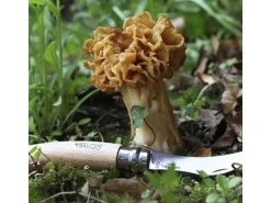 Opinel Cubierto^Cuchillo para setas - 8 cm Marru00f3n