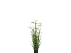 Cyperus alternifolius 8 cabezas en maceta de plástico verde 30x30x132 cm