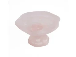 Bazar Bizar Presentación Y Servicio^El Soporte De Frutas Orgánico De Resina - Rosa Blanco Rosa / Blanco