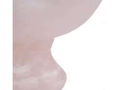 Bazar Bizar Presentación Y Servicio^El Soporte De Frutas Orgánico De Resina - Rosa Blanco Rosa / Blanco