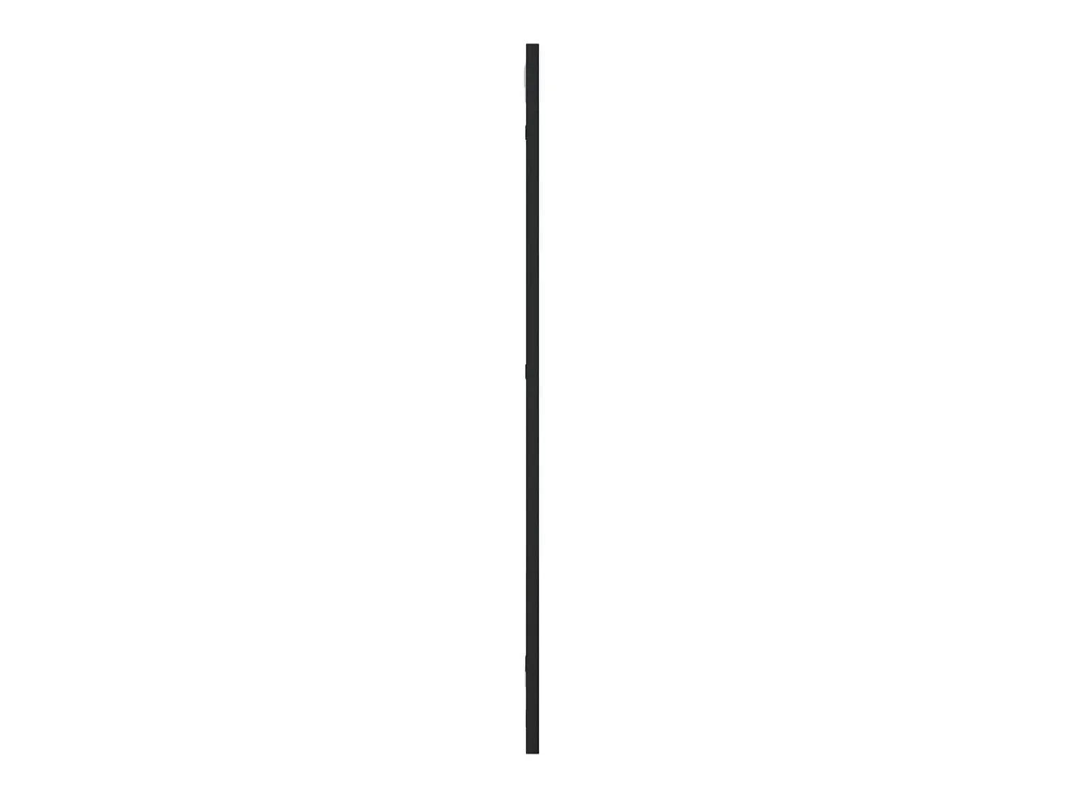 Online Espejo de pared rectangular de hierro 30x80 cm ES480264 Negro