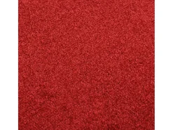 Felpudo 40x60 cm ES469265 Rojo