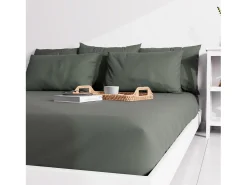Funda de almohada lisa 50x70 cm ZZZ caqui