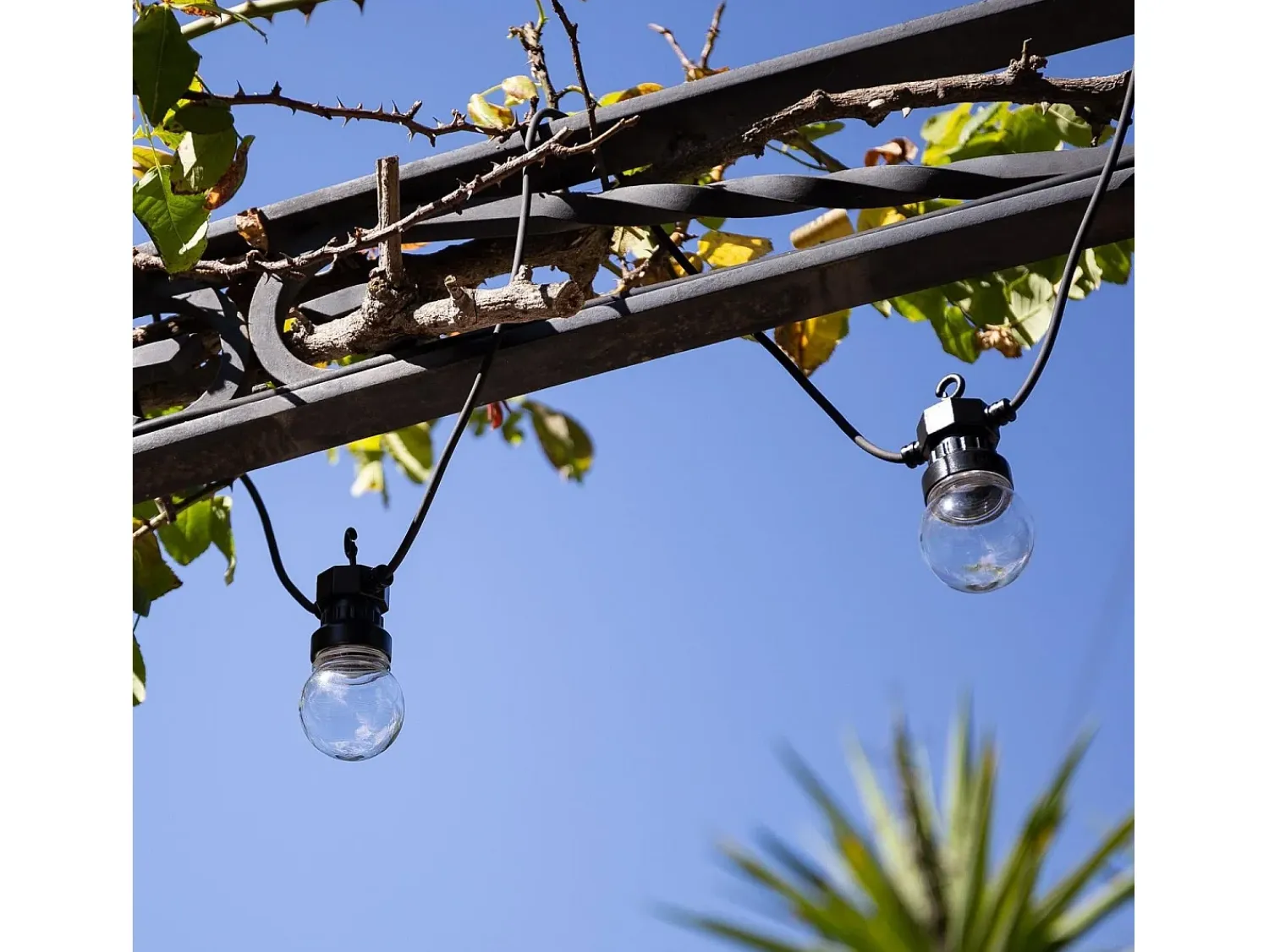 Ledkia Guirnalda Luminosa^Guirnalda Solar Exterior LED de Bombillas Kepler 7m Transparente