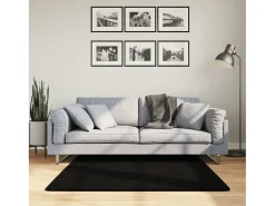 Garden Furniture Alfombra De Salón^Hester Alfombra de pelo corto suave lavable HUARTE 120x120 cm Negro