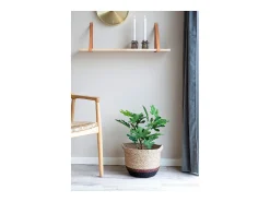 House Nordic Planta Artificial^Higuera artificial 50 cm Verde
