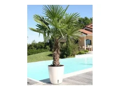 Riviera Macetero^Jardinera redonda para flores - Plástico Ø 31 cm - Azul