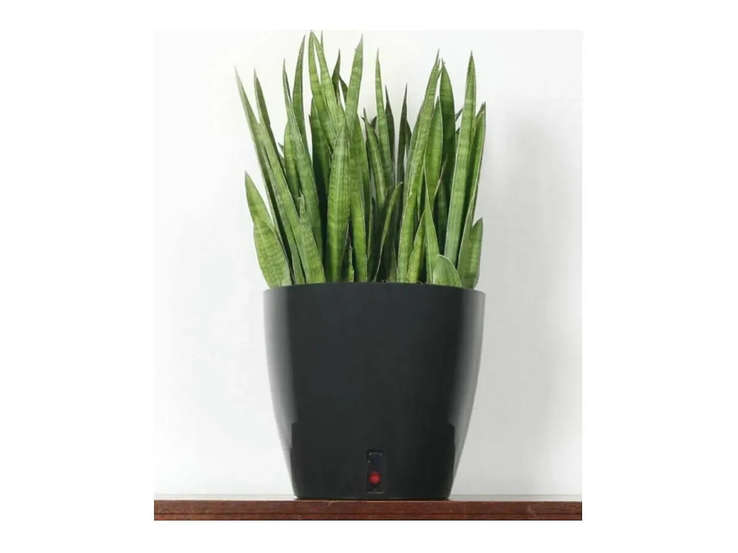 Riviera Macetero^Jardinera redonda para flores - Plástico Ø 31 cm - Azul