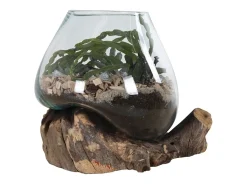 Clearance House Nordic Jarrón sobre base de madera de cristal 18x20 cm Transparente