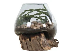 Clearance House Nordic Jarrón sobre base de madera de cristal 18x20 cm Transparente